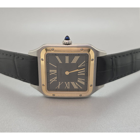 cartier-santos-dumont-31x43mm-w2sa0028-stainless-steel-unisex-watch